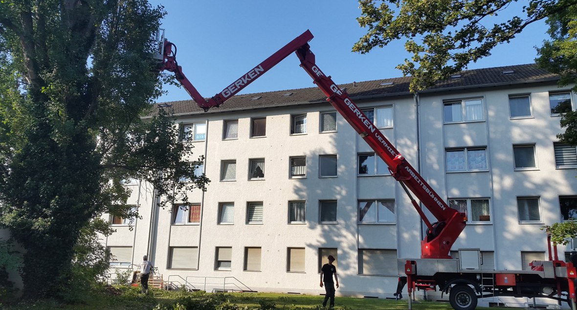 Baumpflege an einer Wohnanlage in Köln